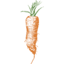 download Half Long Carrot clipart image with 0 hue color