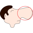 download Nose clipart image with 0 hue color
