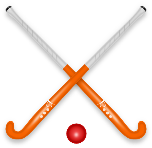 Hockey Stick Ball