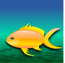 Pez Dorado Gold Fish
