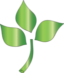 Tree Branch Icon