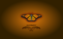 Butterfly Wallpaper