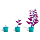 download Green Plant In Its Pot In Three Different Phases Of Growth clipart image with 180 hue color