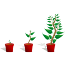 download Green Plant In Its Pot In Three Different Phases Of Growth clipart image with 0 hue color