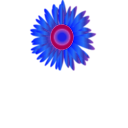 download Sun Flower Icon clipart image with 180 hue color