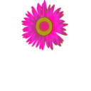 download Sun Flower Icon clipart image with 270 hue color