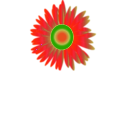 download Sun Flower Icon clipart image with 315 hue color