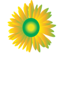 Sun Flower Icon