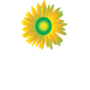 download Sun Flower Icon clipart image with 0 hue color
