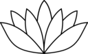 White Lotus Flower