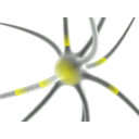 download Firing Neuron clipart image with 0 hue color