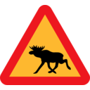 download Warning Moose Roadsign clipart image with 0 hue color