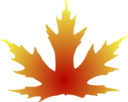 Maple Leaf