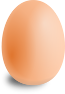 Egg