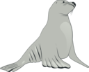 Sea Lion