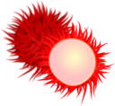 Rambutan