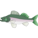 download Pikeperch clipart image with 90 hue color