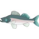 download Pikeperch clipart image with 135 hue color