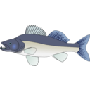 download Pikeperch clipart image with 180 hue color