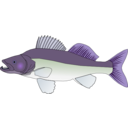 download Pikeperch clipart image with 225 hue color
