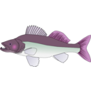 download Pikeperch clipart image with 270 hue color