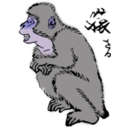 download Japanese Macaque clipart image with 225 hue color