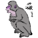 download Japanese Macaque clipart image with 270 hue color