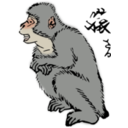 download Japanese Macaque clipart image with 0 hue color