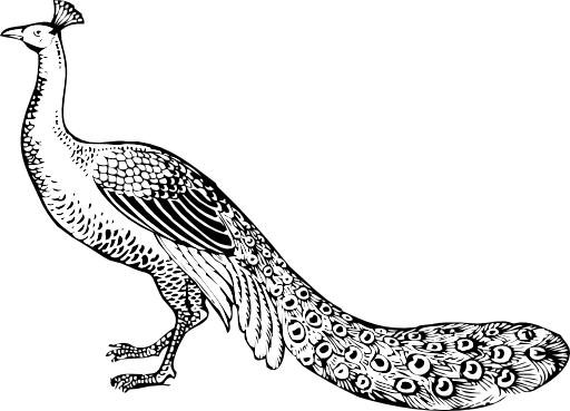 Peacock Clipart I2clipart Royalty Free Public Domain Clipart