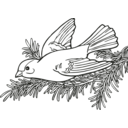download Coloring Book Willow Goldfinch clipart image with 90 hue color