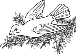 Coloring Book Willow Goldfinch