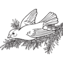 download Coloring Book Willow Goldfinch clipart image with 0 hue color
