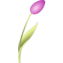 download Simple Tulip clipart image with 315 hue color