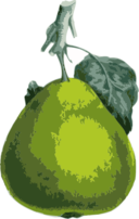 Pear