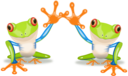 Frog By Sonny