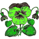 download Pansy clipart image with 45 hue color