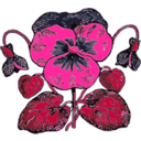 download Pansy clipart image with 270 hue color