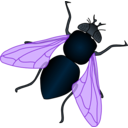 download Green House Fly clipart image with 90 hue color