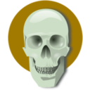download Human Skull clipart image with 45 hue color