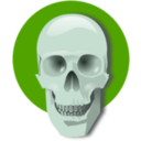 download Human Skull clipart image with 90 hue color
