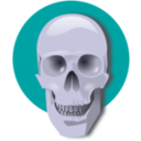 download Human Skull clipart image with 180 hue color