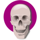 download Human Skull clipart image with 315 hue color