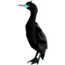 download Cormorant clipart image with 135 hue color