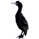 download Cormorant clipart image with 225 hue color