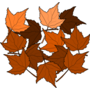 download Fall2010 14 clipart image with 0 hue color