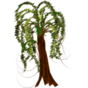 download Brown Tree clipart image with 0 hue color