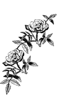 Rose Decoration