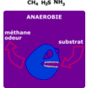 download Degradation Anaerobie clipart image with 45 hue color