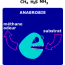 download Degradation Anaerobie clipart image with 0 hue color
