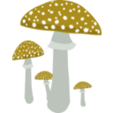 download Mushrooms 4 clipart image with 45 hue color